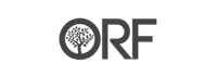 13 logo
