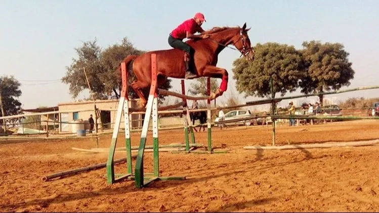 Horse Riding