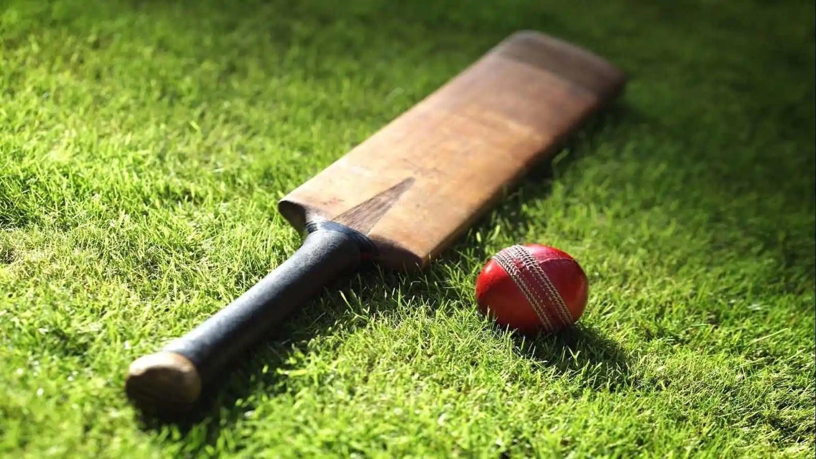 Cricket