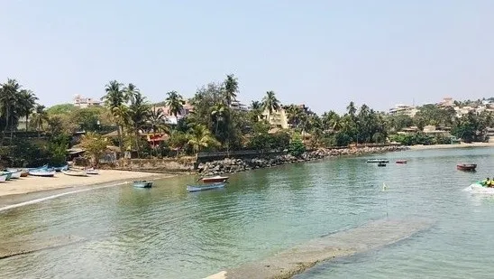 Vainguinim Beach