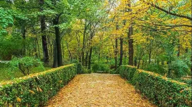 Maharashtra Nature Park