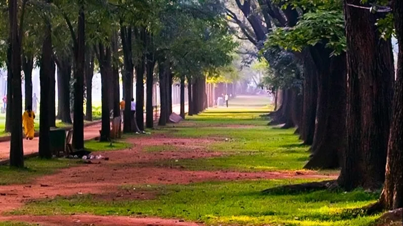 Cubbon Park