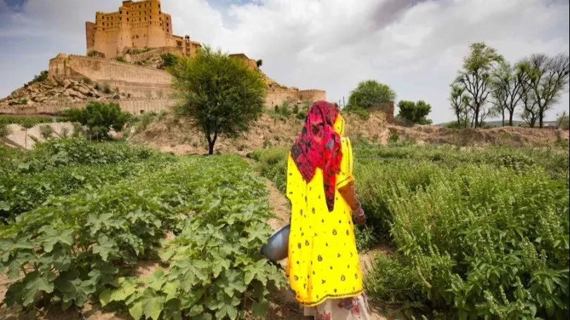 Meet the Local Artisans