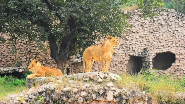 Nawab Wajid Ali Shah Zoological Garden