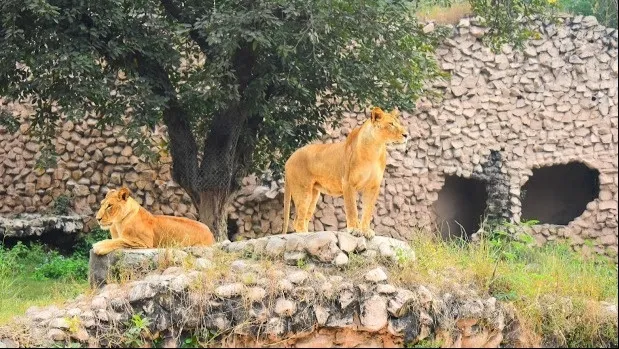 Nawab Wajid Ali Shah Zoological Garden