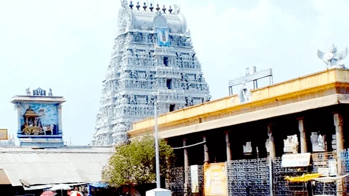 Parthasarathy Temple