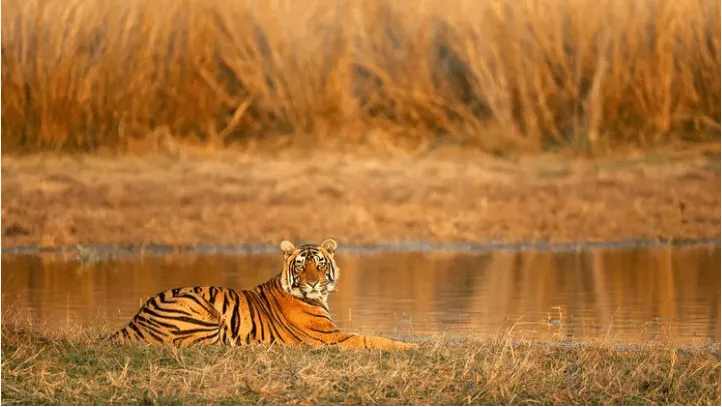 Sariska Wildlife Sanctuary