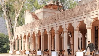 Courtyard Garden and Terrace