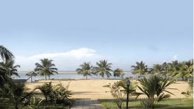 Beach Side Party Area