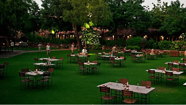 Outdoor Lawn