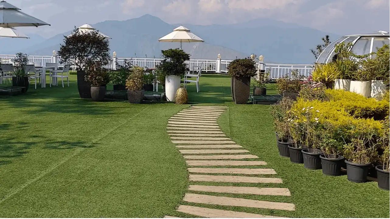 Lawn