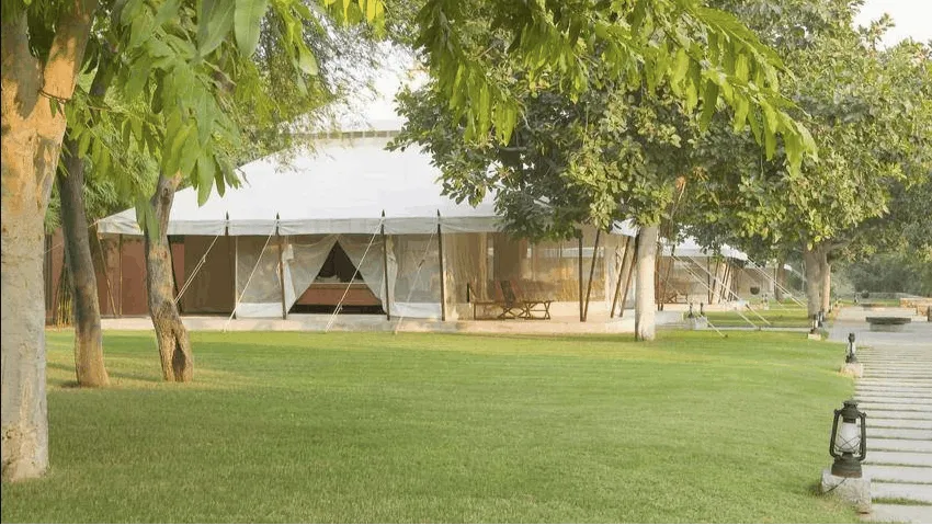 Lawn