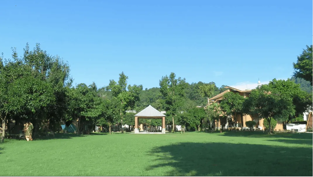 Lawn
