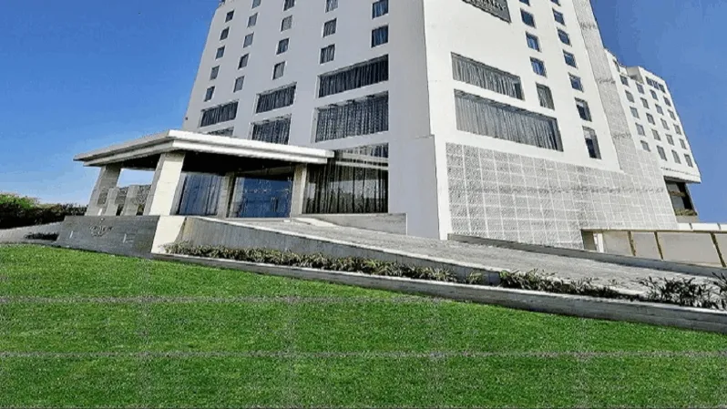 Outdoor Lawn