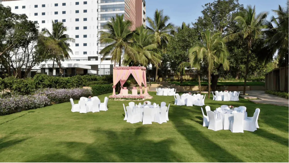 Lawn 1