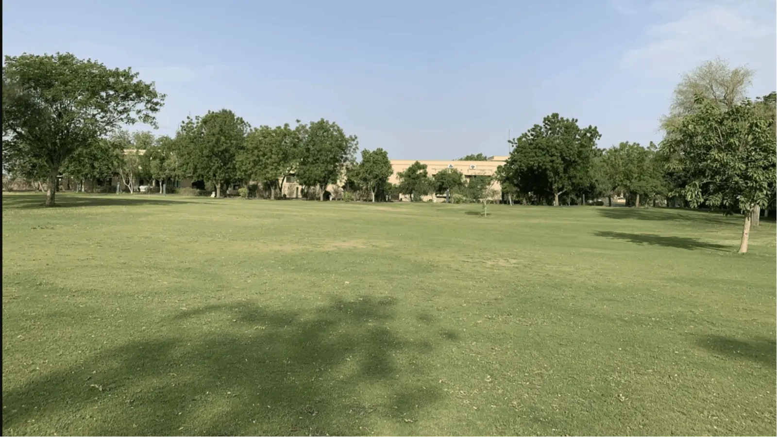 Wedding Lawn