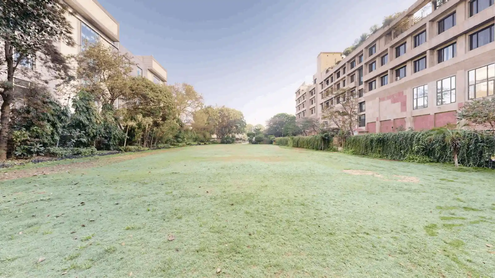 The Regent Lawn