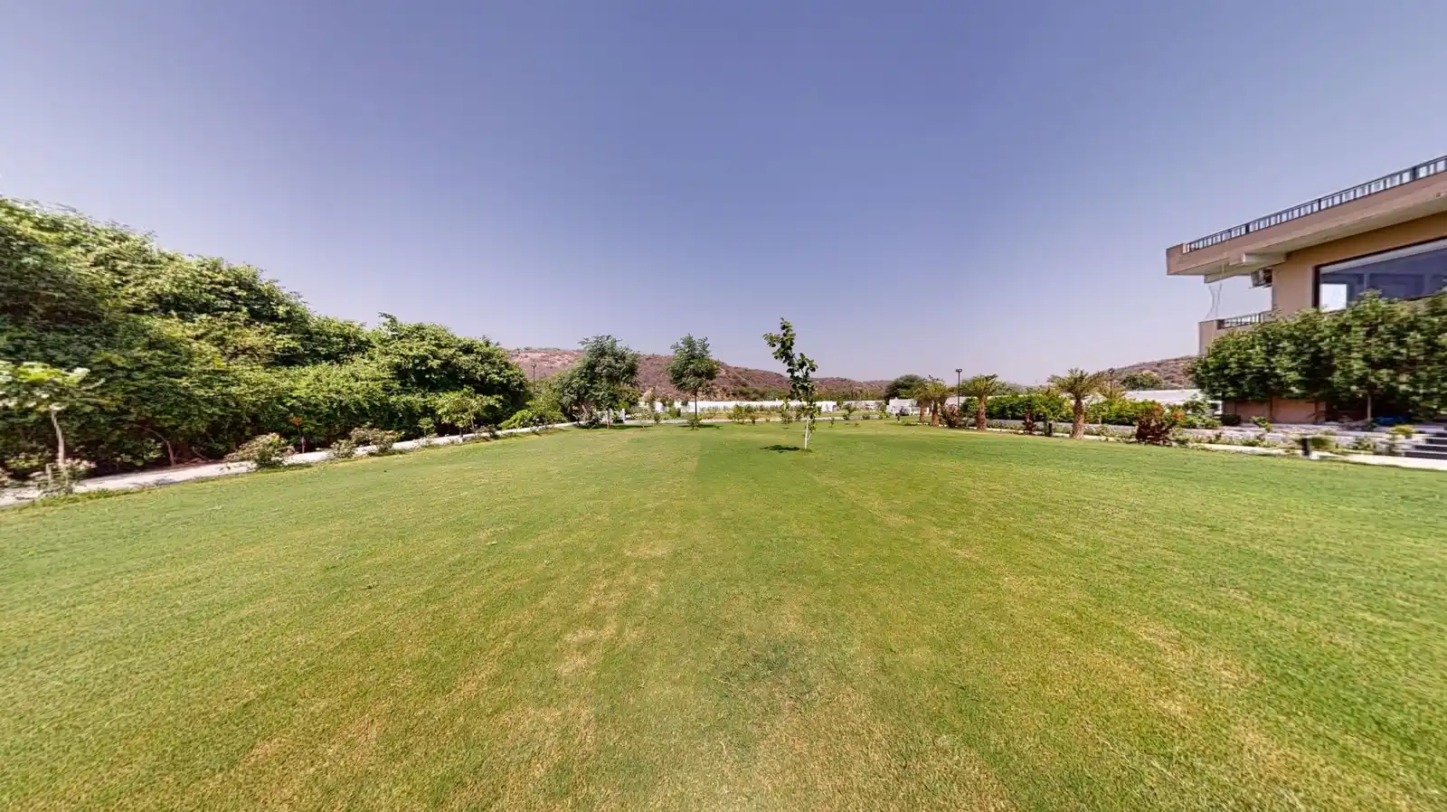 Lawn