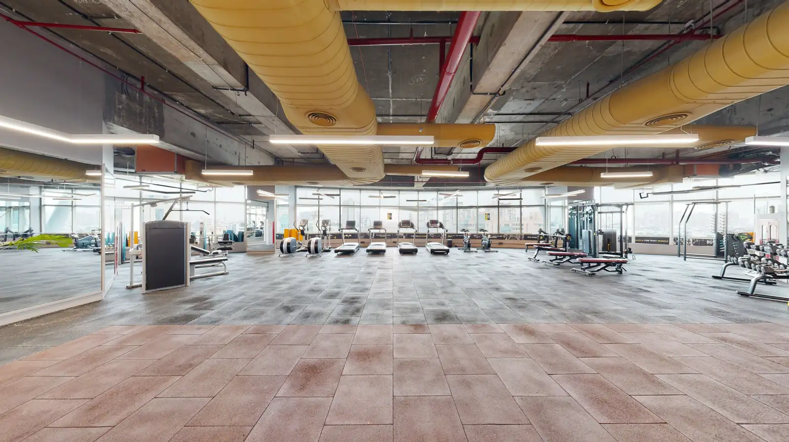 Gym 