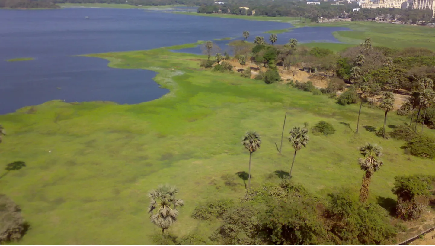 Powai Lake
