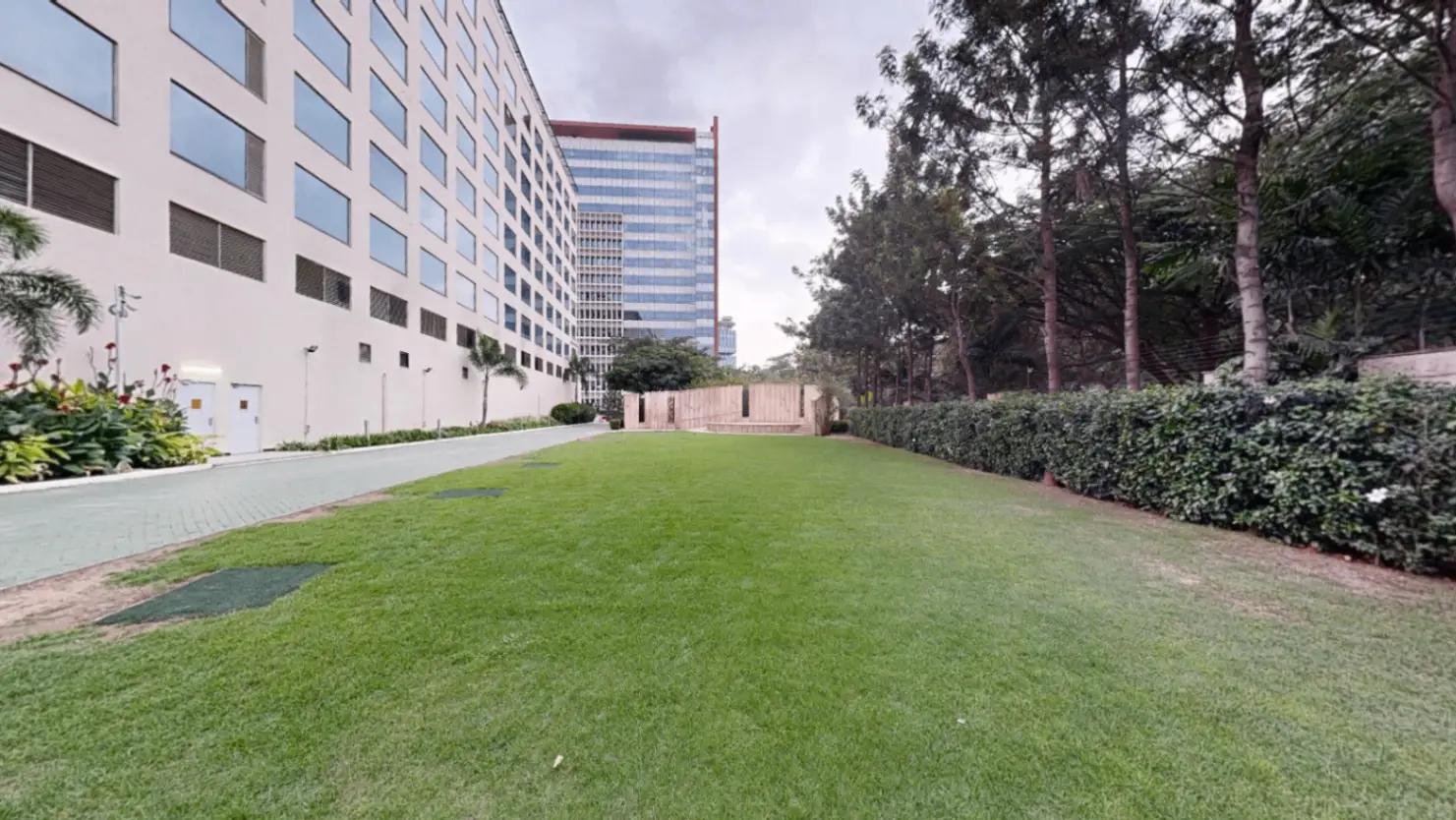 Party Lawn