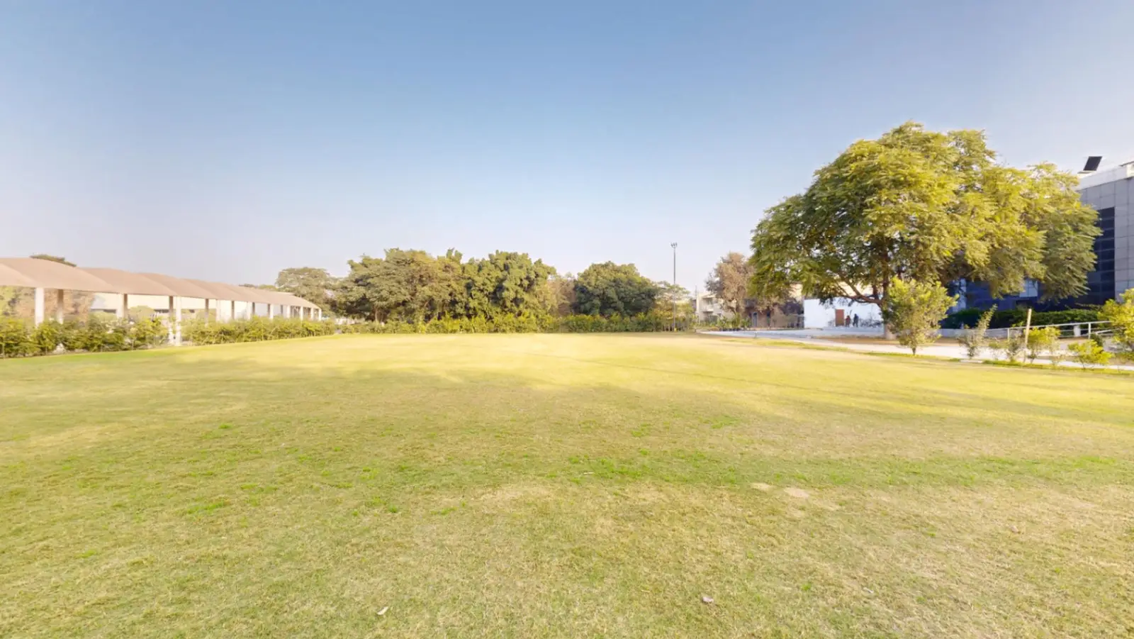 Lower Lawn