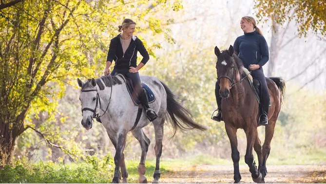 Horse Ride through Countryside
