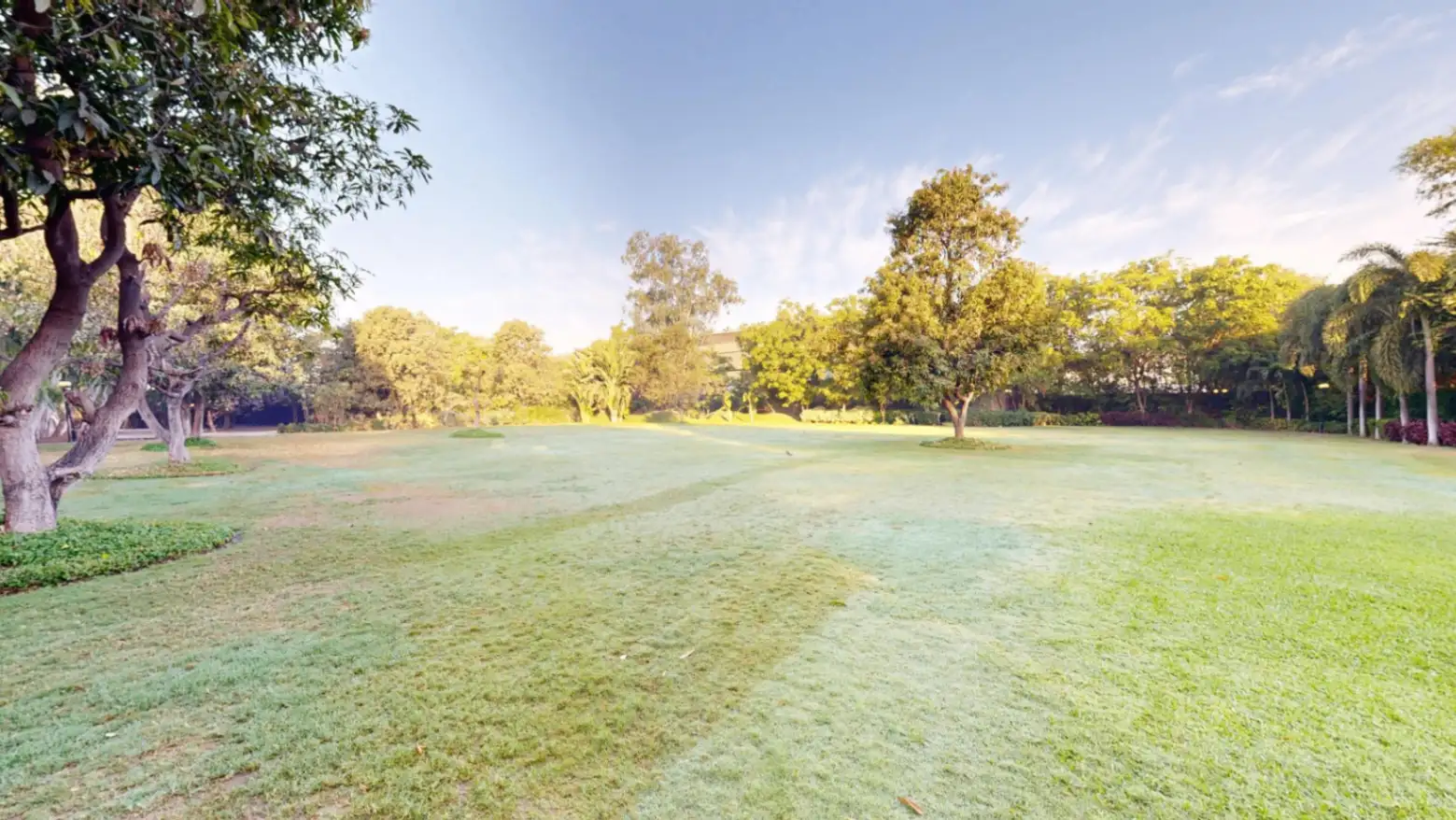 Zamkudi Lawn