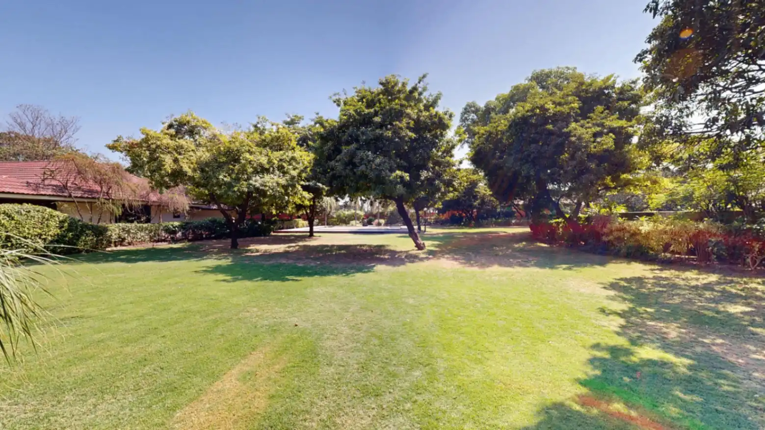 Infinity Lawn