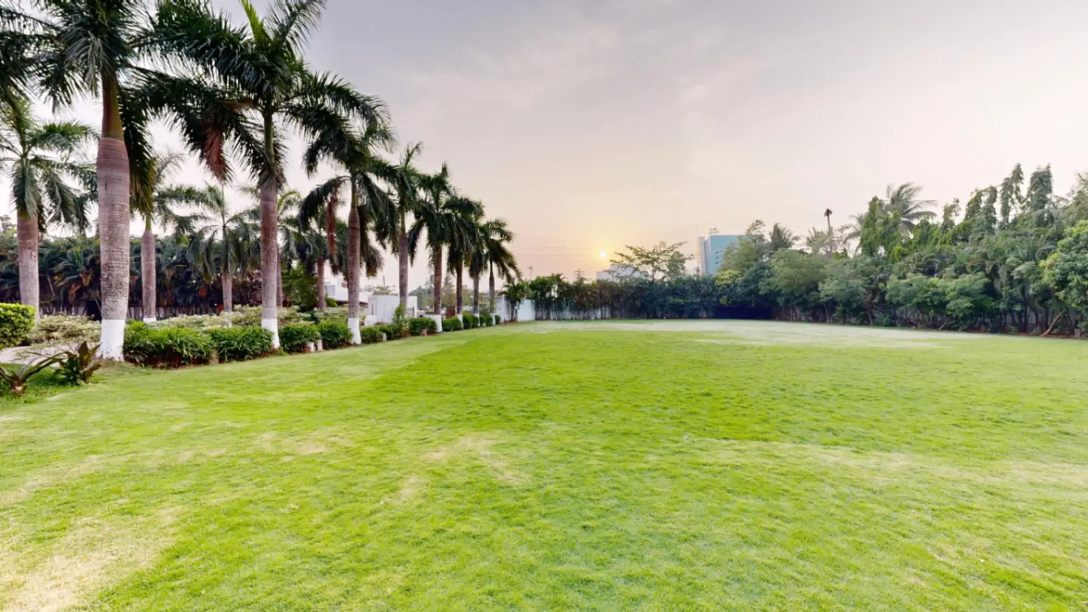 North Lawn