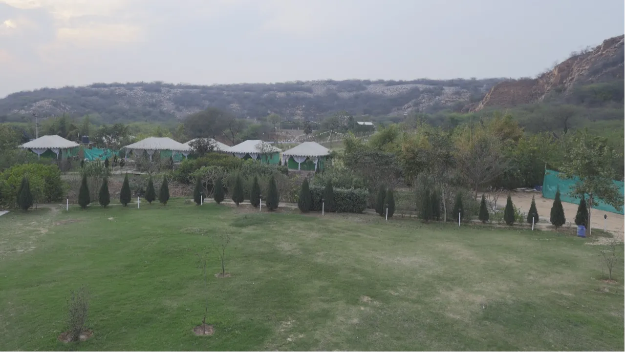 Lawn 1