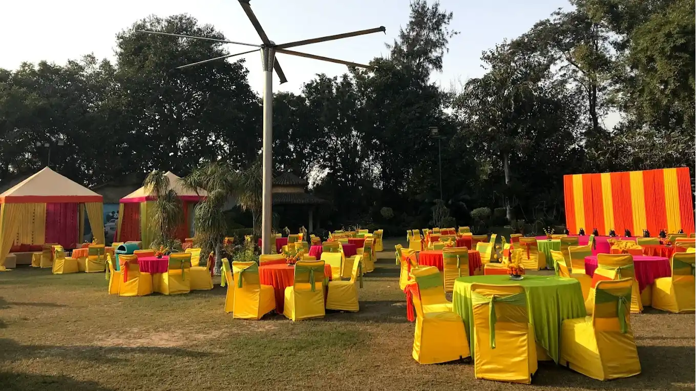 Lawn-1