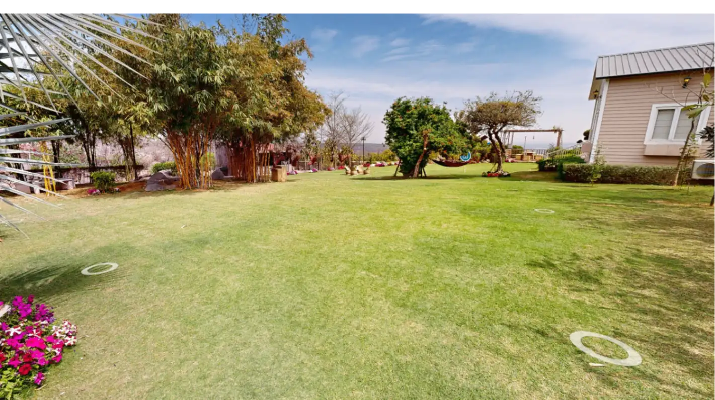 Lawn