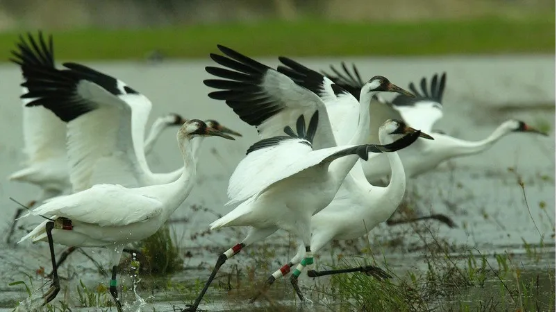 Sultanpur National Park