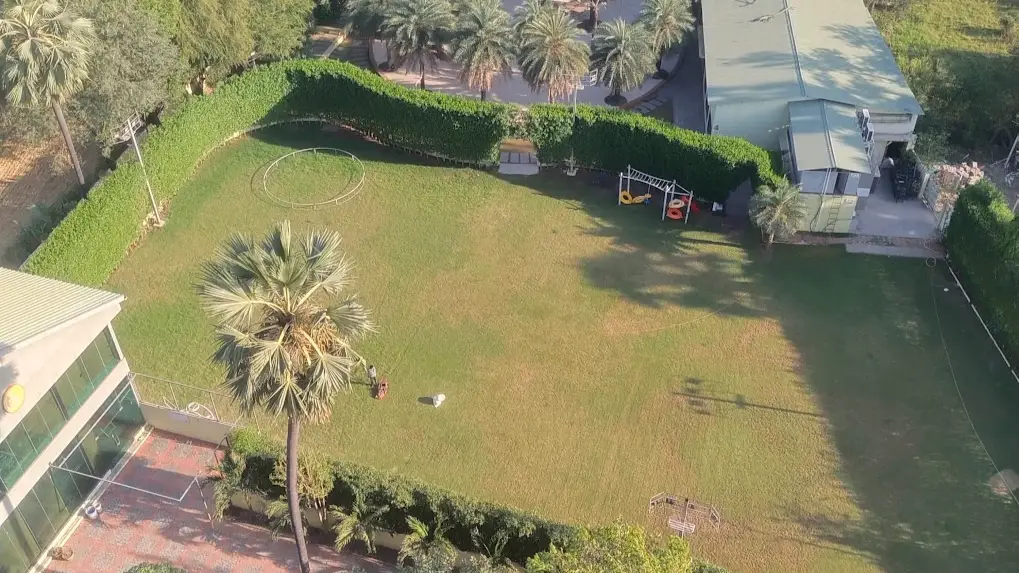 Lawn