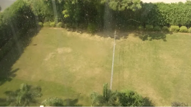 Open Lawn