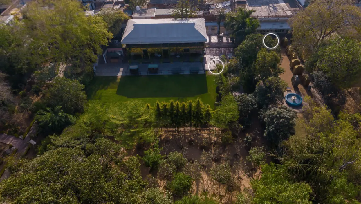 Lawn