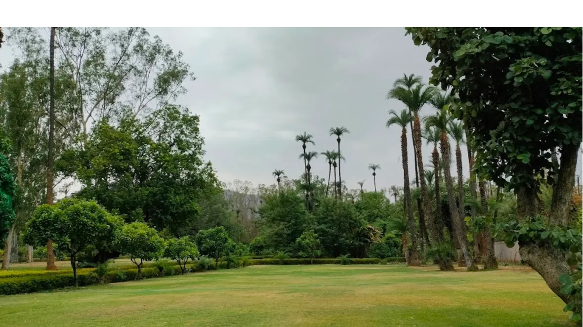Croquet Lawn