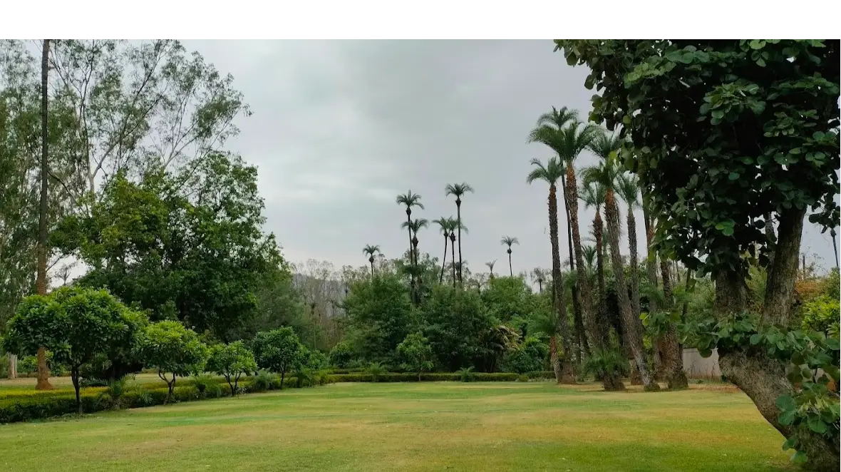 Polo Lawn