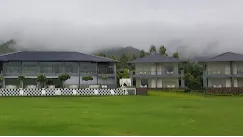 Lawn
