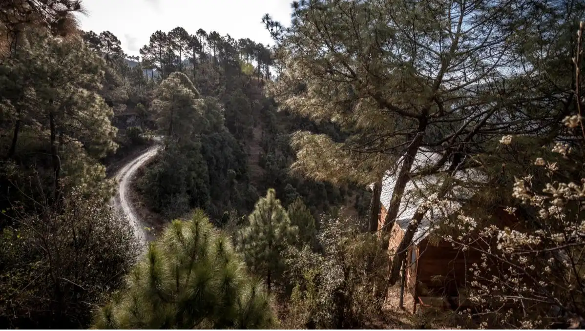 Nature walks and hiking