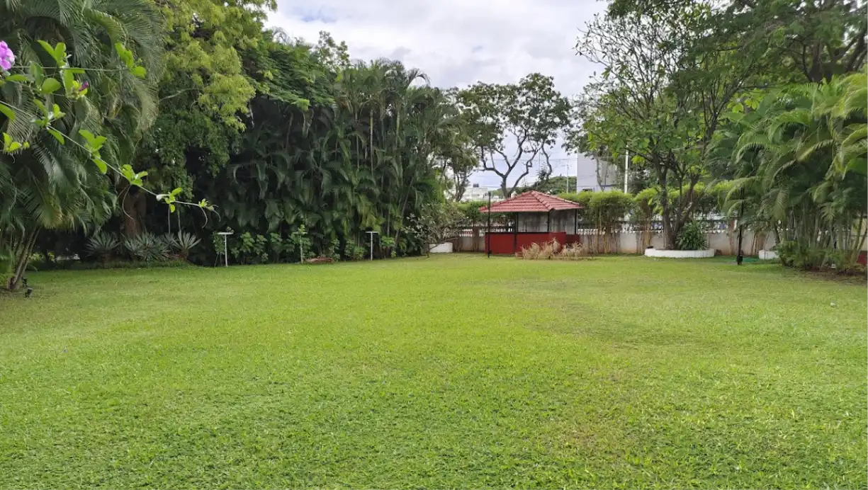 The Pool Deck & Lawn