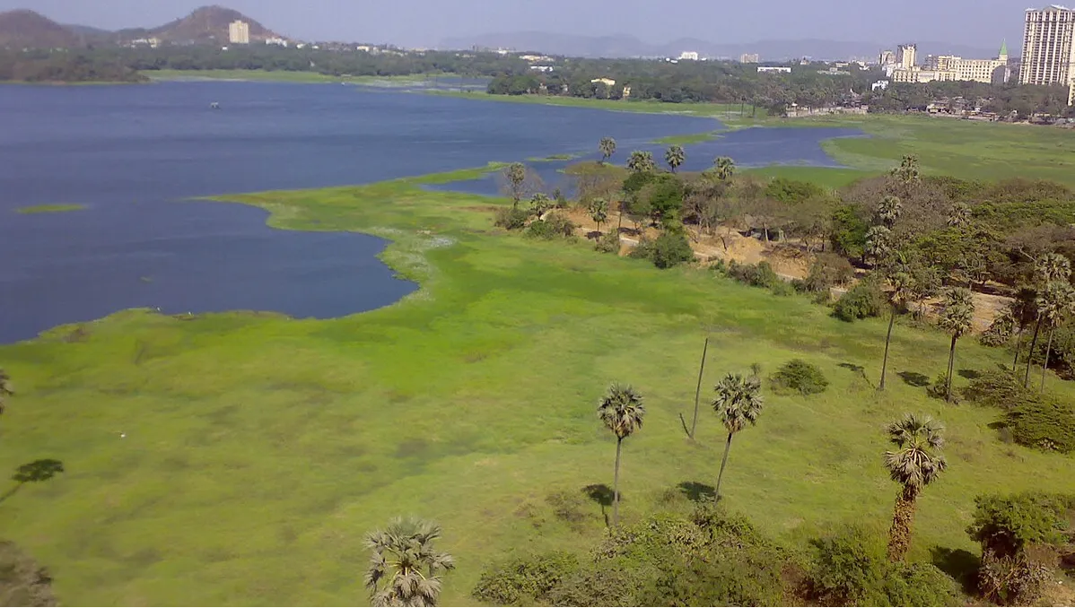 Powai Lake