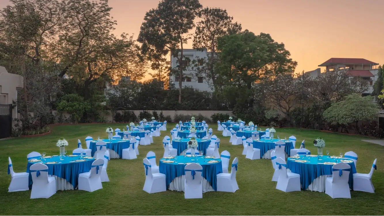 Daimond Lawn