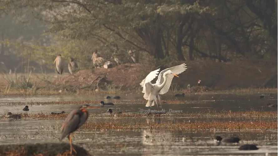  Sultanpur National Park