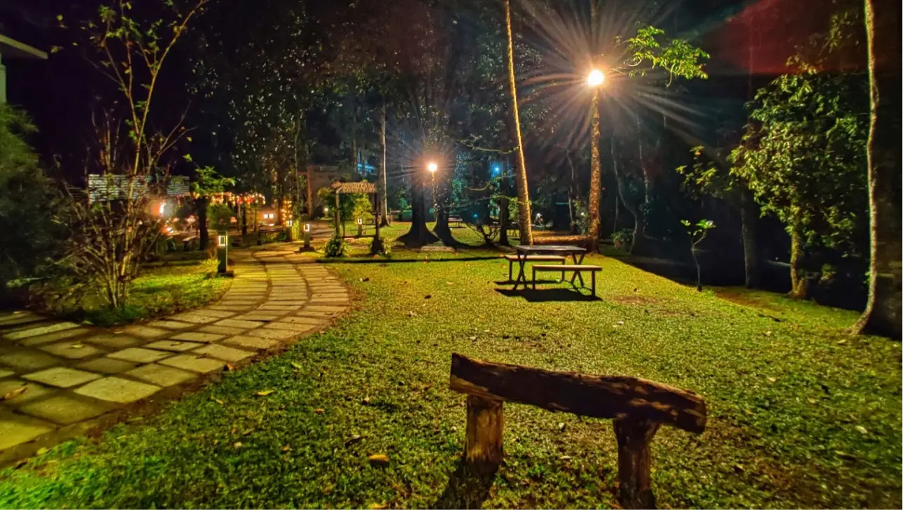 Lawn