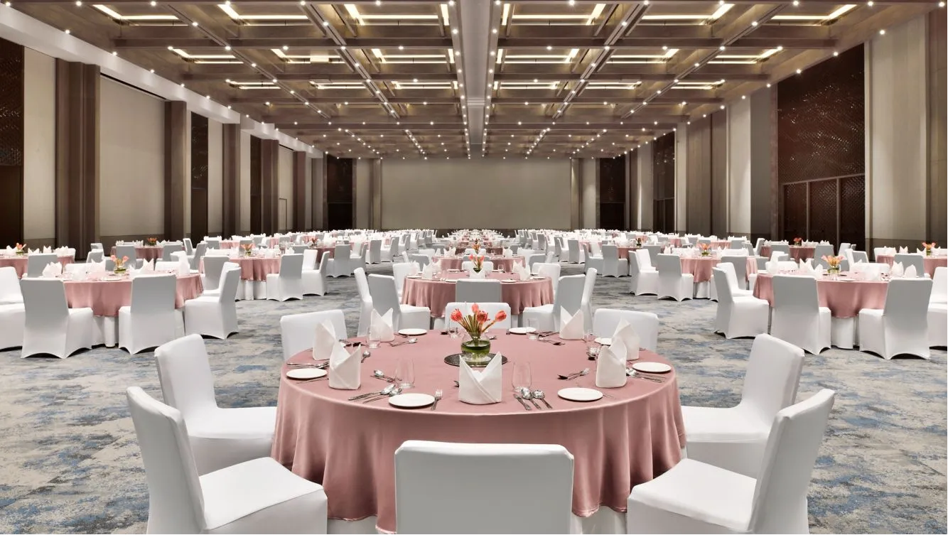 Albatross 1 + 2  + 3 + 4