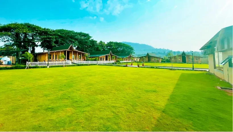 Bigger Lawn