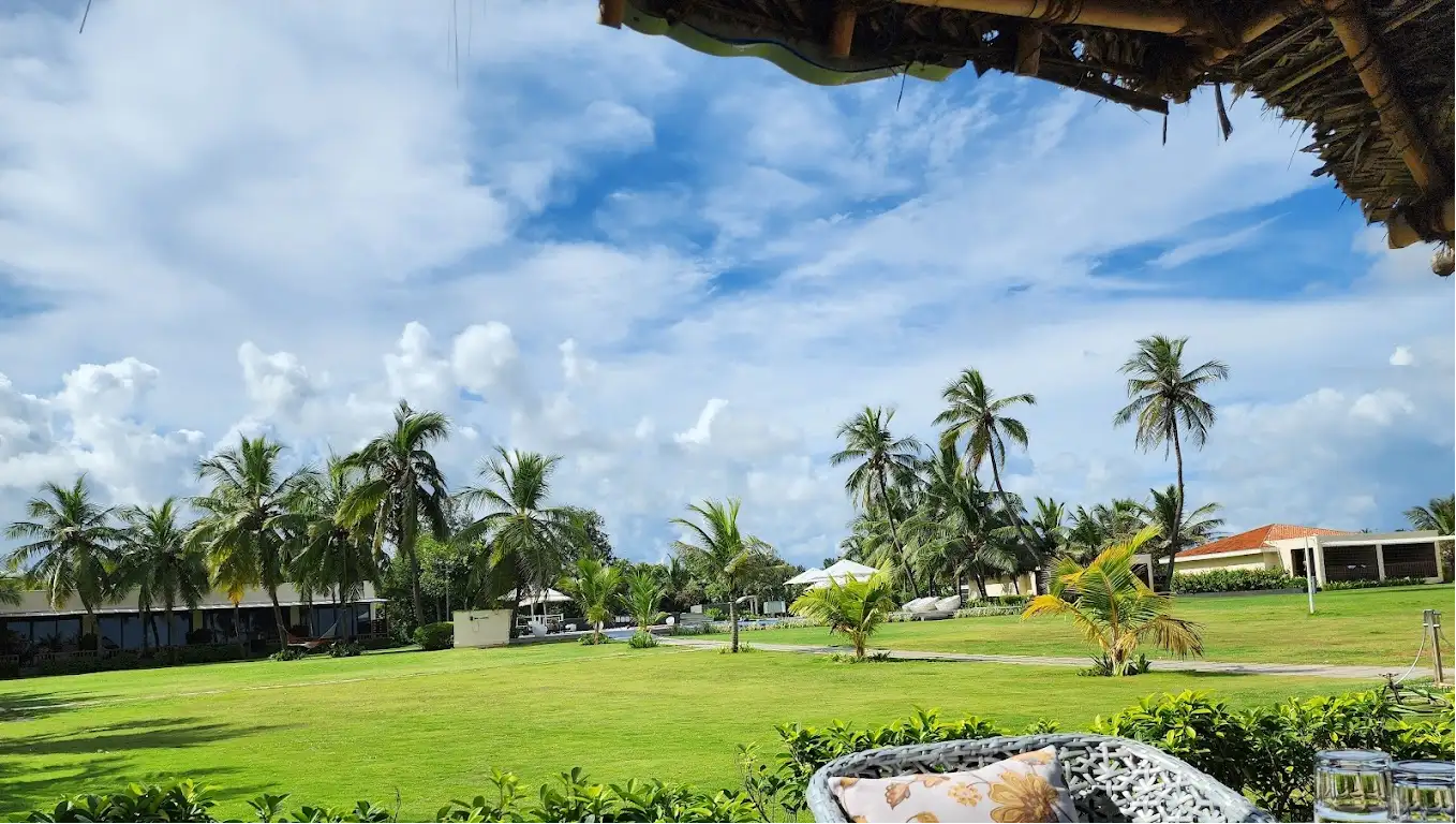 Lawn