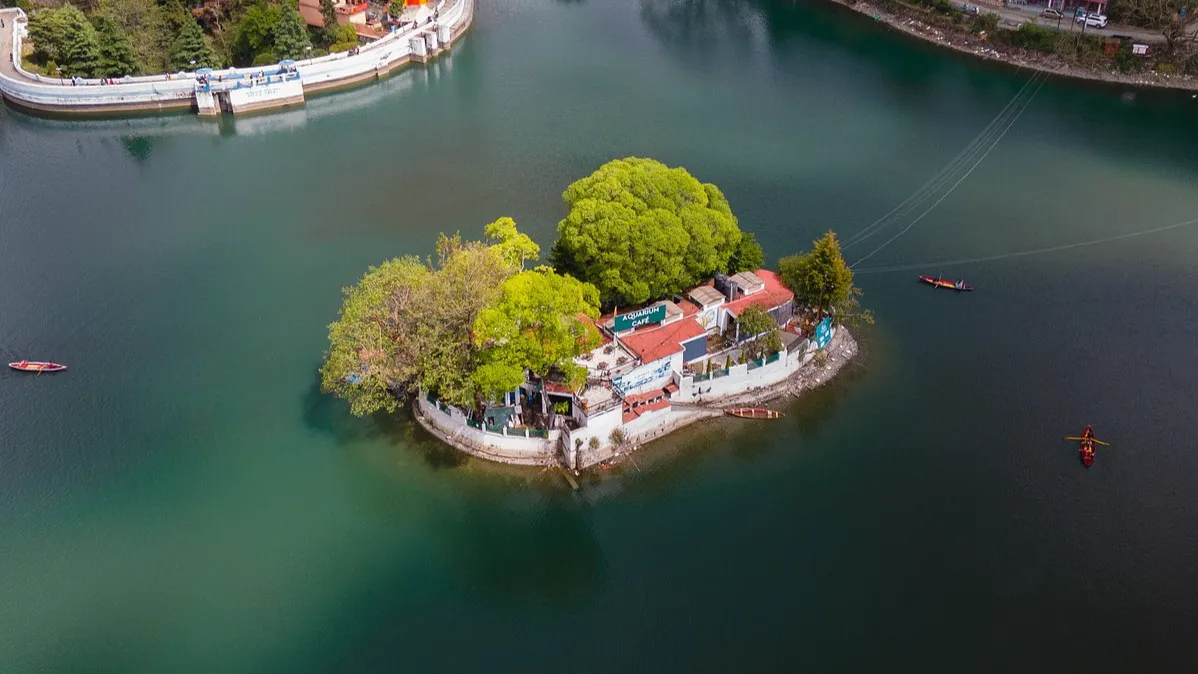 Aquarium Island Cafe